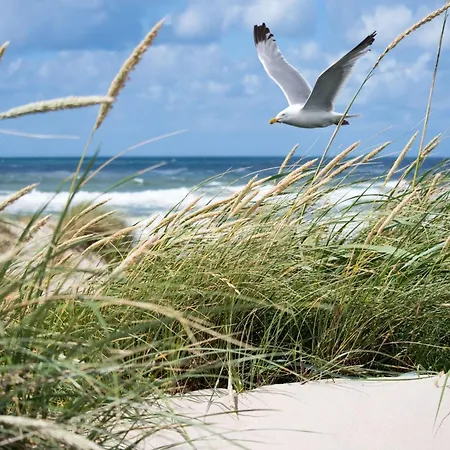 Villa In Near The Knokke-Heist