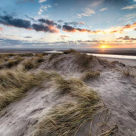 In Near The * Knokke-Heist